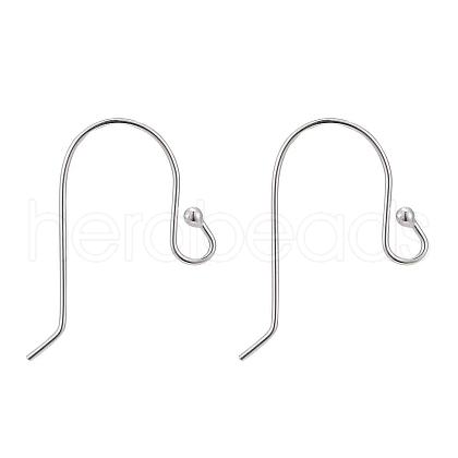 925 Sterling Silver Earring Hooks STER-G011-12-1