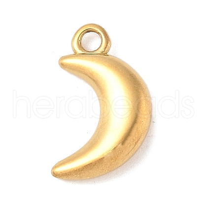 304 Stainless Steel Charms STAS-Q351-06G-1
