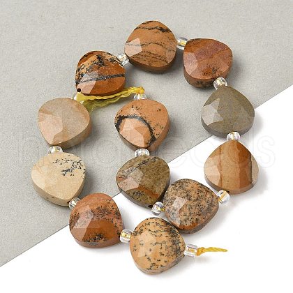 Natural Picture Jasper Beads Strands G-D316-A06-1