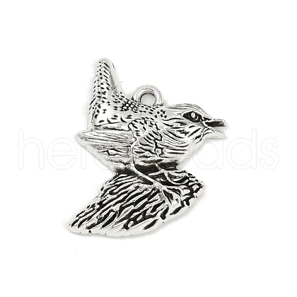 Tibetan Style Alloy Pendants PALLOY-P310-01D-AS-1