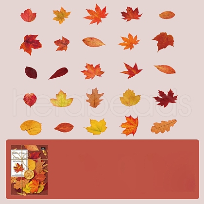 50Pcs Maple Leaf Theme Paper Stickers STIC-P017-C01-1
