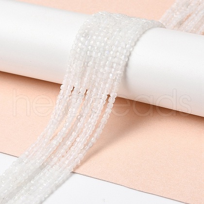 Natural Rainbow Moonstone Beads Strands G-I353-04-1
