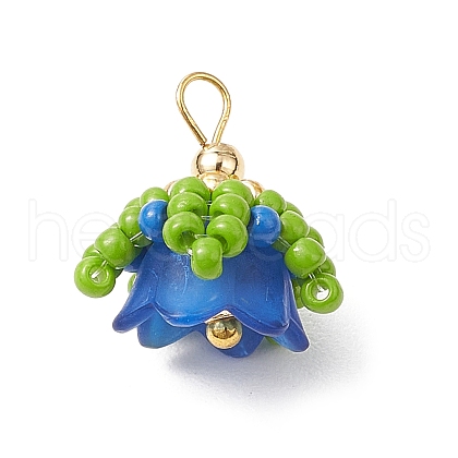 Handmade Nylon Wired Glass Beaded Pendants with Acrylic Beads Caps and Brass Beads PALLOY-MZ00509-03-1