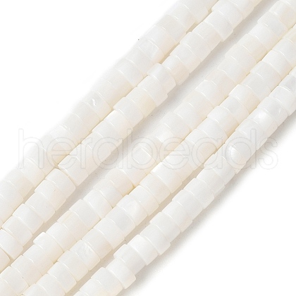 Natural Freshwater Shell Beads Strands SSHEL-C013-04B-1