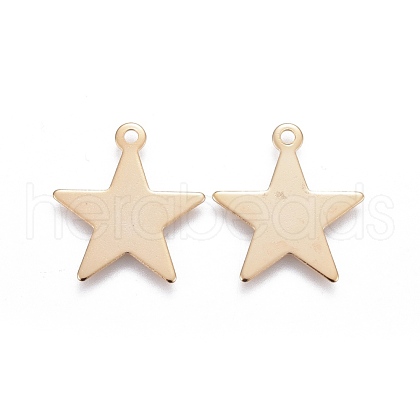 201 Stainless Steel Pendants STAS-F192-048G-1