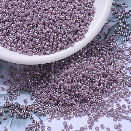 MIYUKI Round Rocailles Beads X-SEED-G007-RR0478-1