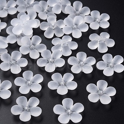 Transparent Acrylic Beads MACR-S373-116-D01-1