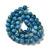 Natural Apatite Beads Strands G-S150-18-8mm-4