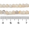 Natural White Moonstone Beads Strands G-D294-4mm-01-4