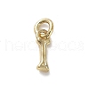 Brass Charms KK-H493-01G-06-1