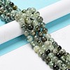 Natural Prehnite Beads Strands G-P322-48-8mm-01-4