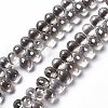 Electroplate Glass Beads Strands EGLA-L033-PL01-1