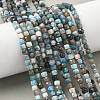 Natural Apatite Beads Strands G-RM250101-L2-5