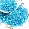 Imitation Cat Eyes Glass Seed Beads SEED-H003-03E-1