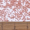 MIYUKI Delica Beads SEED-JP0008-DB1363-4