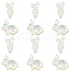 6Pcs 2 Styles Natural White Shell Beads BSHE-CJ0001-05-3