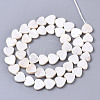 Spray Painted Natural Freshwater Shell Beads Strands SHEL-N026-51B-01-2