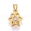 304 Stainless Steel Charms STAS-P216-49G-2