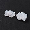 Acrylic Beads OACR-U001-05A-2