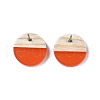 Transparent Resin & Wood Stud Earrings EJEW-N017-003A-D07-4