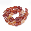 Natural Carnelian Beads Strands G-S331-8x10-018A-2