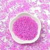 Glass Seed Beads SEED-XCP0001-28-2