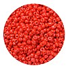 8/0 Baking Paint Glass Seed Beads SEED-US0001-04-3mm-6