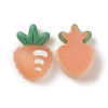 Transparent Resin Decoden Cabochons RESI-F024-04-2