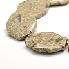 Natural Fossil Coral Beads Strands G-F477-07-44x34mm-8