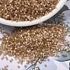 MIYUKI Delica Beads X-SEED-J020-DB1802-1