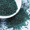 MIYUKI Round Rocailles Beads SEED-G007-RR0030-1