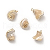 Baroque Natural Trochus Shell Pendants PEAR-P004-51KCG-1