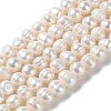 Natural Cultured Freshwater Pearl Beads Strands PEAR-E018-01-1