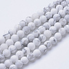 Natural Howlite Beads Strands G-T055-4mm-02-1