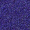 MIYUKI Round Rocailles Beads SEED-X0054-RR0484-2