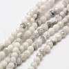 Natural Howlite Beads Strands G-A129-2mm-14-1