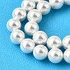 Rainbow Plated Shell Pearl Bead Strands BSHE-L025-02-10mm-3