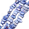 Natural Freshwater Shell Beads Strands X-SHEL-N026-123G-1