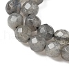 Natural Labradorite Beads Strands G-G213-4mm-03-3