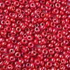 6/0 Czech Opaque Glass Seed Beads SEED-N004-003D-19-4