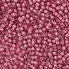 TOHO Round Seed Beads SEED-TR08-0959-2