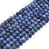 Natural Blue Aventurine Beads Strands G-P573-B10-01-2