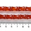 Natural Agate(Dyed & Heated) Beads Strands G-M446-B01-01-5