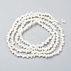 Natural Spiral Shell Beads Strands X-BSHE-I011-11C-2