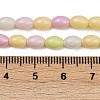 Handmade Lampwork Beads Strands LAMP-S070-11B-4