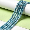 Natural Gemstone Beads Strands G-F730-04A-2