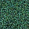 MIYUKI Round Rocailles Beads SEED-X0054-RR1016-3
