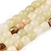 Dyed Natural White Jade Beads Strands G-T138-210B-4