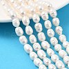 Natural Cultured Freshwater Pearl Beads Strands PEAR-I007-01D-05A-02-1