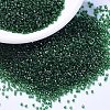 MIYUKI Delica Beads X-SEED-J020-DB1894-1